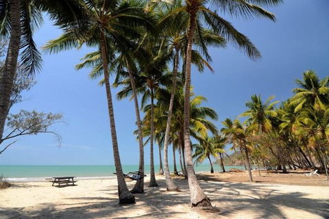 SHUTTLE - Thala Beach And Turtle Cove From Port Douglas (Return Transfer) - Accommodation NT 2