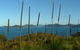 7-Day Private Sea Kayaking In Whitsundays - thumb 8