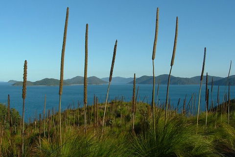7-Day Private Sea Kayaking In Whitsundays - Accommodation NT 8