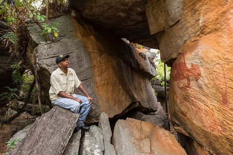 Half Day Aboriginal Rock Art Experience In Queensland - Accommodation NT 7