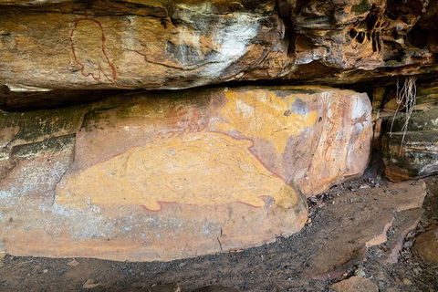 Half Day Aboriginal Rock Art Experience In Queensland - Accommodation NT 3