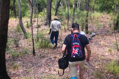 Half Day Aboriginal Rock Art Experience In Queensland - Accommodation NT 5