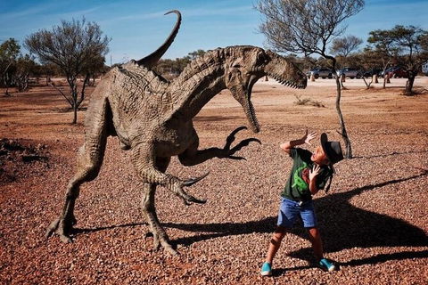 8-Day Outback Experience From Queensland - Accommodation NT 14