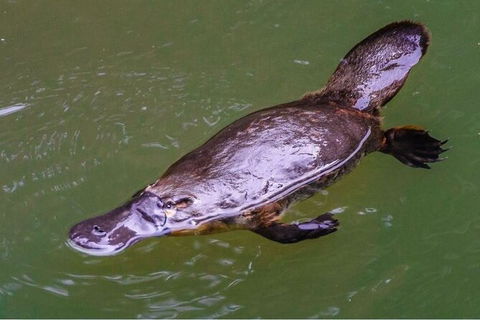 8-Day Outback Experience From Queensland - Accommodation NT 15