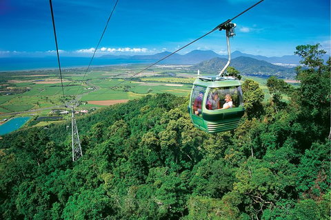 Day Tour To Kuranda, Rainforest And Port Douglas With Flight - Accommodation NT 5