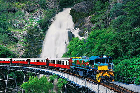 Day Tour To Kuranda, Rainforest And Port Douglas With Flight - Accommodation NT 4