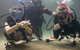Scuba Kids- Padi Bubblemaker Course - thumb 4