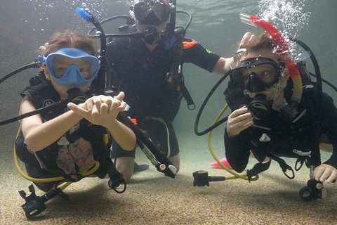 Scuba Kids- Padi Bubblemaker Course - Accommodation NT 4