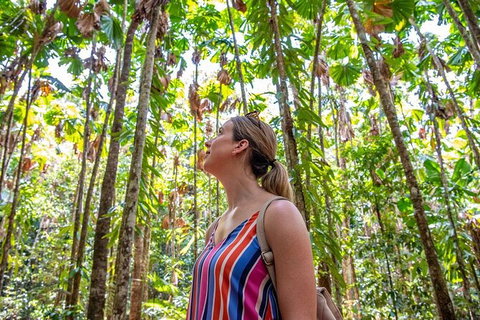 5 Day Australia Retreat: Queensland Daintree - Accommodation NT 3