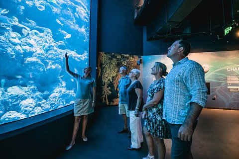 Cairns Aquarium By Twilight With 3 Course Dinner - Accommodation NT 0