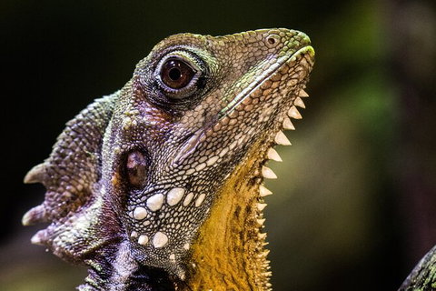 Cairns Aquarium By Twilight With 3 Course Dinner - Accommodation NT 5