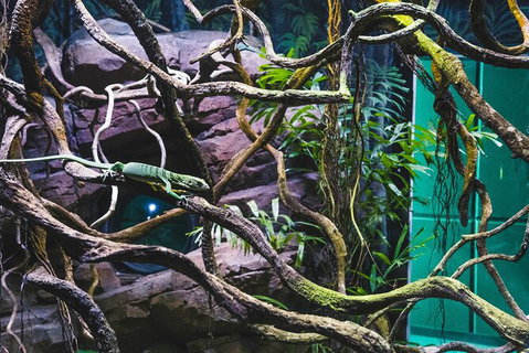 Cairns Aquarium By Twilight With 3 Course Dinner - Accommodation NT 8