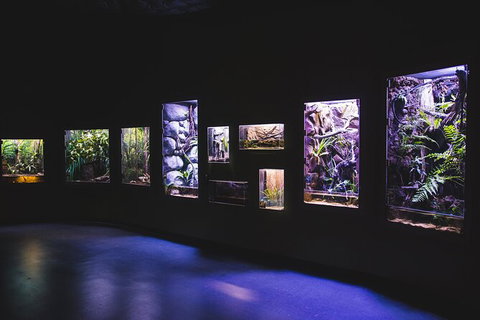 Cairns Aquarium By Twilight With 3 Course Dinner - Accommodation NT 3