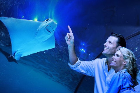 Cairns Aquarium Tour By Twilight With Drink And Appetiser - Accommodation NT 0