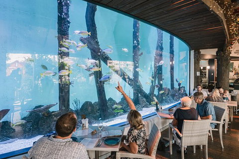 Cairns Aquarium Tour By Twilight With Drink And Appetiser - Accommodation NT 1