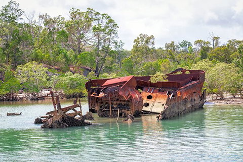 Sandy Straits Scenic & Wildlife Cruise - Accommodation NT 9