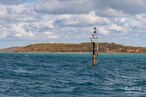 Sandy Straits Scenic & Wildlife Cruise - Accommodation NT 6