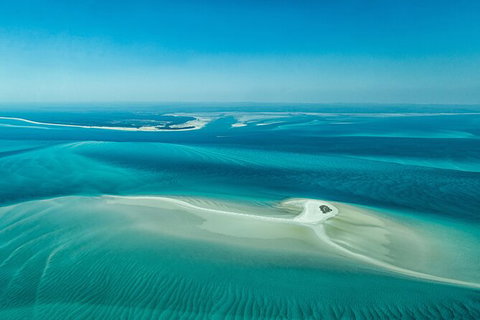 Sandy Straits Scenic & Wildlife Cruise - Accommodation NT 5
