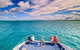 Sandy Straits Scenic & Wildlife Cruise - thumb 7