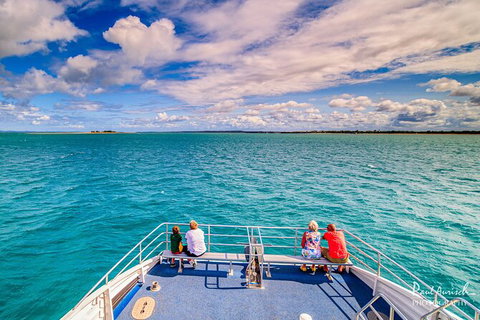 Sandy Straits Scenic & Wildlife Cruise - Accommodation NT 7