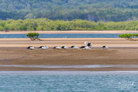 Sandy Straits Scenic & Wildlife Cruise - Accommodation NT 3