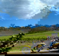 Unique Trike Barossa Valley Half Day Private Tour For 2 - Accommodation NT