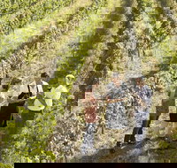 Beyond The Velvet Rope - Behind the Scenes Tour - Accommodation NT