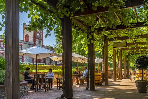 Yalumba Nursery & Grenache Discovery Tour + Platter Lunch - Accommodation NT 4