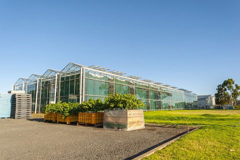 Yalumba Nursery & Grenache Discovery Tour + Platter Lunch - Accommodation NT 5