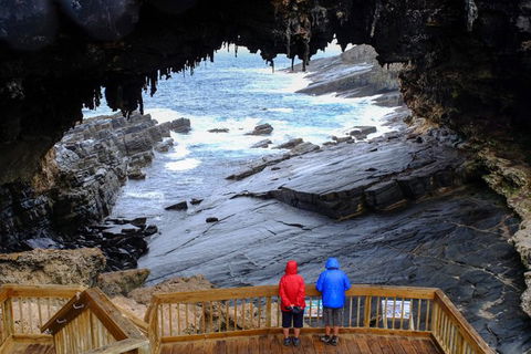 Full-Day Kangaroo Island Safari From Penneshaw - NT Tourism 1