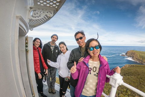 Bruny Island Day Tour, Includes Lunch And Exclusive Lighthouse Tour - Accommodation NT 10
