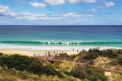 Bruny Island Day Tour, Includes Lunch And Exclusive Lighthouse Tour - Accommodation NT 4