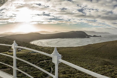 Bruny Island Day Tour, Includes Lunch And Exclusive Lighthouse Tour - Accommodation NT 14