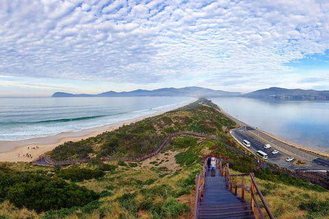 Bruny Island Day Tour, Includes Lunch And Exclusive Lighthouse Tour - Accommodation NT 16
