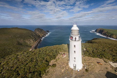 Bruny Island Day Tour, Includes Lunch And Exclusive Lighthouse Tour - Accommodation NT 0