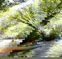 Paddle with the Platypus Twilight Kayak Adventure - Accommodation NT