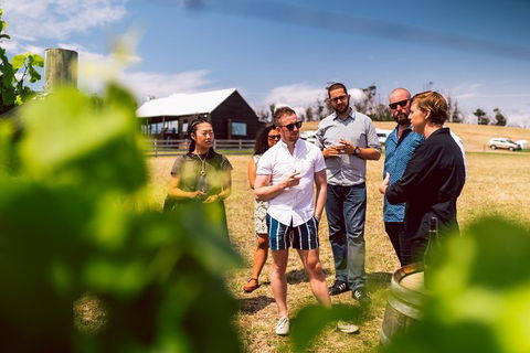 Tasmanian Wine Tour - Accommodation NT 4