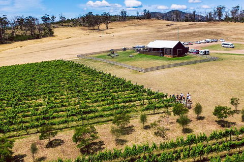Tasmanian Wine Tour - Accommodation NT 7