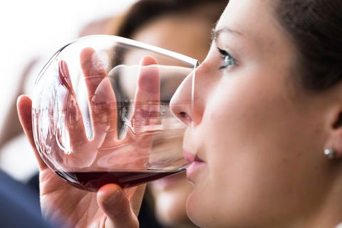 Tasmanian Wine Tour - Accommodation NT 1