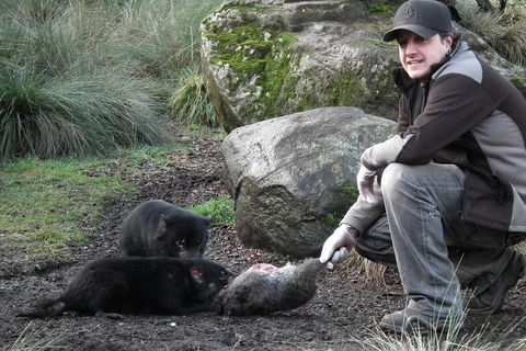 After Dark Tasmanian Devil Feeding Tour At Cradle Mountain - Accommodation NT 0