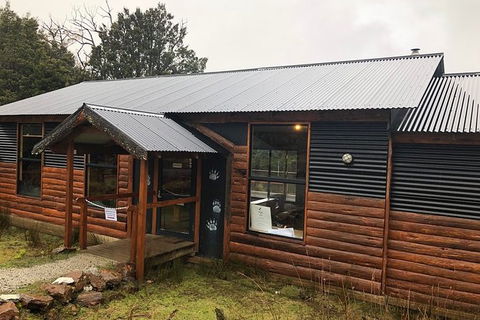 After Dark Tasmanian Devil Feeding Tour At Cradle Mountain - Accommodation NT 6