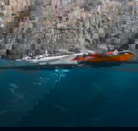 Tasman Peninsula full day kayaking tour - Accommodation NT