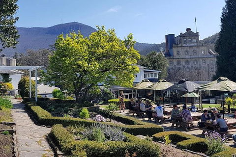 Breathtaking Panoramic Mountains,discover Colonial Convict History,MONA Museum ! - Accommodation NT 0