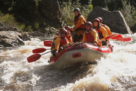 King River White Water Raft Journey From Queenstown With Lunch - Accommodation NT 4