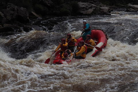 King River White Water Raft Journey From Queenstown With Lunch - Accommodation NT 5