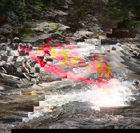 King River White Water Raft Journey from Queenstown with Lunch - Accommodation NT