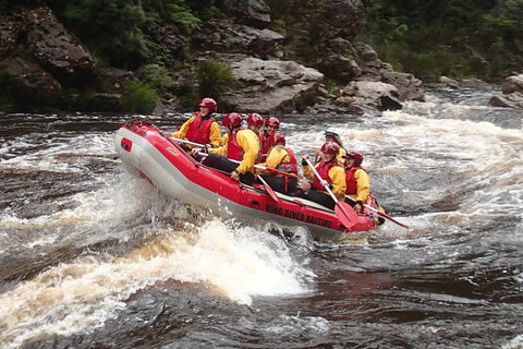 King River White Water Raft Journey From Queenstown With Lunch - Accommodation NT 0