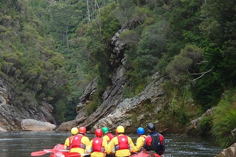 King River White Water Raft Journey From Queenstown With Lunch - Accommodation NT 1