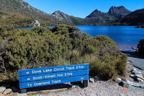 Cradle Mountain Guided Walk With Gourmet Hamper - Accommodation NT 1