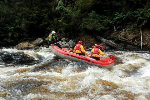 King River Whitewater Rafting Trip Including The Westcoast Wilderness Railway - Accommodation NT 3